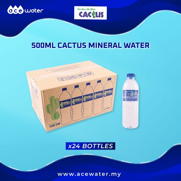 500ml cactus mineral water