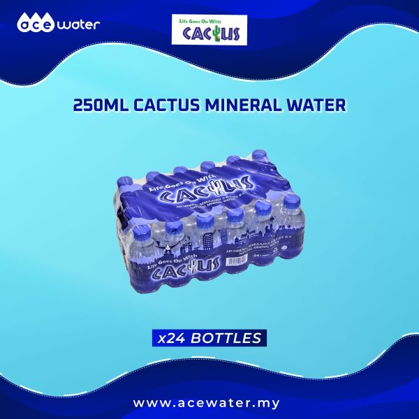 250ml cactus mineral water